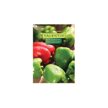 PAPRIKA CALIFORNIA WONDER 569 Valentin 