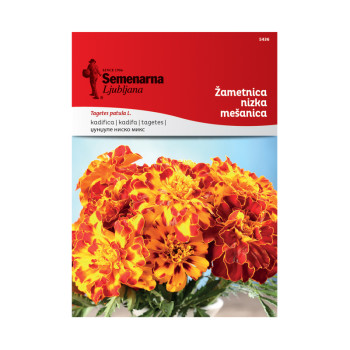 ŽAMETNICA NIZKA - MEŠANICA (Tagetes) 5436 Semenarna 