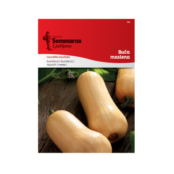 BUČA MASLENA (BUTTERNUT) 707 Semenarna 