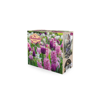 Ratatouille, Purple & Pink tones 24/1 