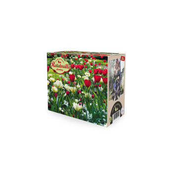 Ratatouille, Red & White tones 30/1 