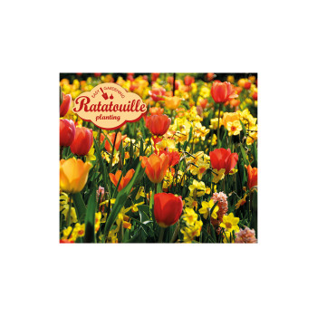 Ratatouille, Yellow & Orange Tones  24 /1 