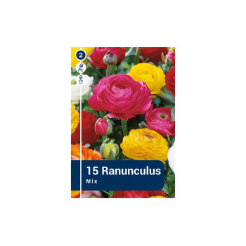 Master Ranunculus Mix 15/1 