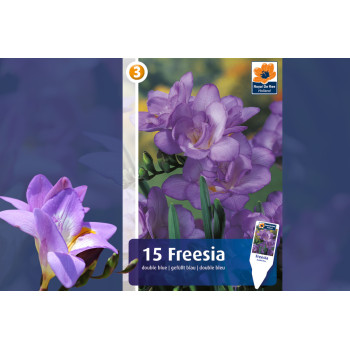 Master Freesia double blue 15/1 