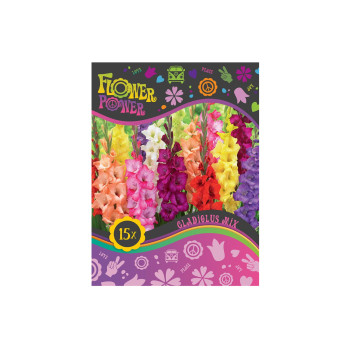 Flower power Gladiolus Mix 15/1 