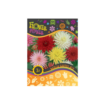 Flower power Dahlia Cactus Mix 3/1 