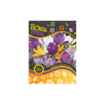 Flover Power Crocus Vernus mix 15/1 