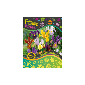 Flover Power Iris Hollandica mix 25/1 
