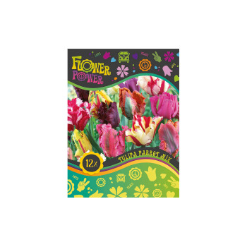 Flover Power Tulipa Parrot mix 8/1 