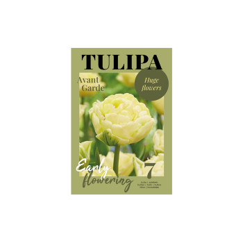 Glossy Tulipa Avant Garde 7/1 