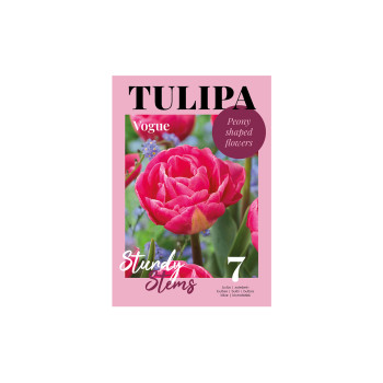 GlossyTulipa Voque 7/1 