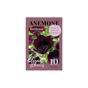 Glossy Anemone Bordeaux 10/1 