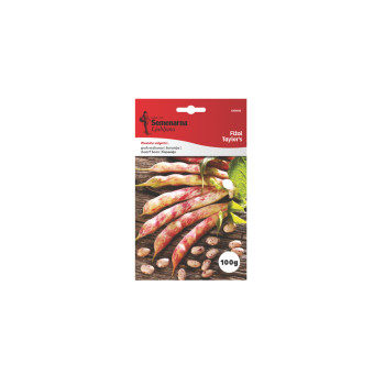 Fižol Taylor 100g Semenarna 