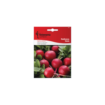 Redkvica Saxa 296 Semenarna 