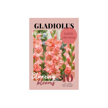 Glossy Gladiool Blushed Look 