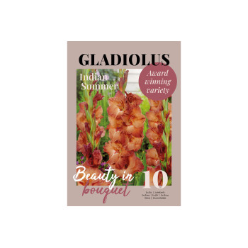 Glossy Gladiool Indian Summer 