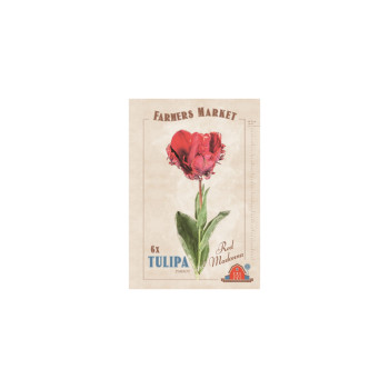 Farmers Market Tulipa parrot Red Madonna 6/1 