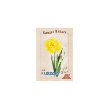 Farmers Market Narcissus double Dick Wilden 8/1 