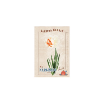 Farmers Market Narcissus double Replete 6/1 