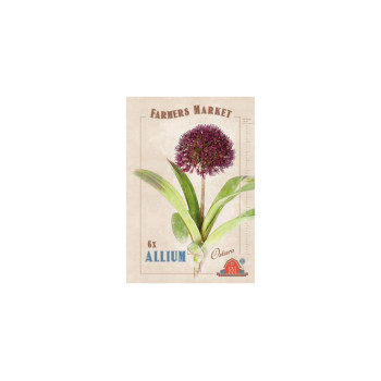 Farmers Market Allium Ostara 6/1 