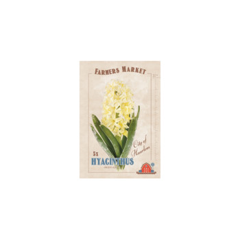 Farmers Market Hyacinthus orientalis City of Haarlem 5/1 