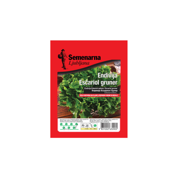 ENDIVIJA ESCARIOL GRUNNER 50 g 