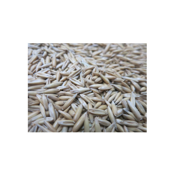 OVES NONI 25 KG netretirano 