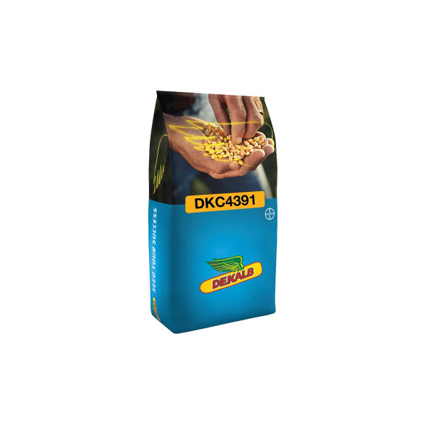 Koruza DKC 4391 80 MK Acceleron Elite 