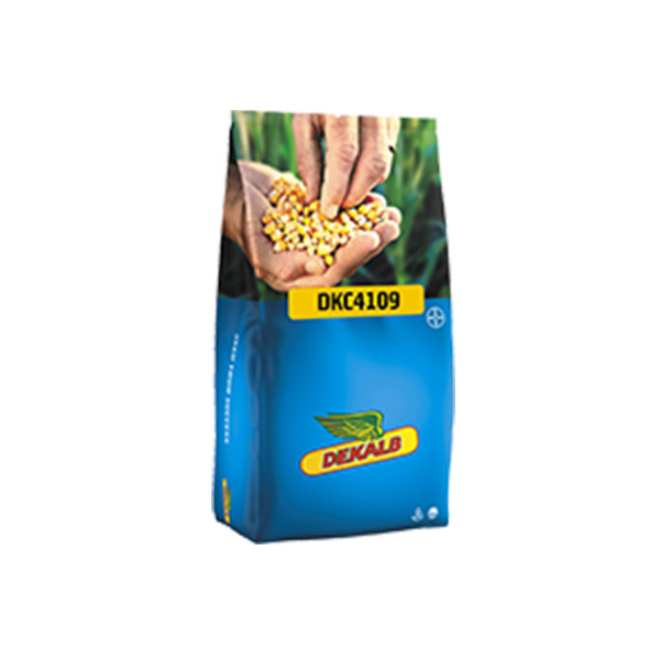 KORUZA DKC 4109 50 MK Acceleron Elite 