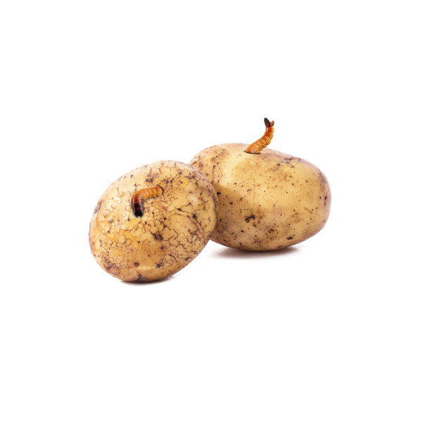 Bio Plantella Stop strune - vaba 