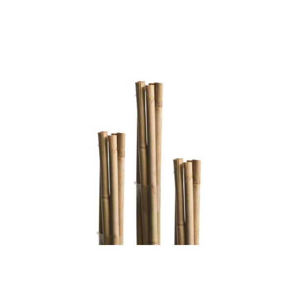 Opornik bambus 120 cm 5 kom 8–10 mm