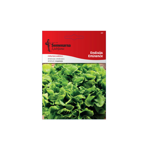 ENDIVIJA EMINENCE 10G 