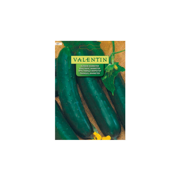 KUMARE MARKETER 621 Valentin 