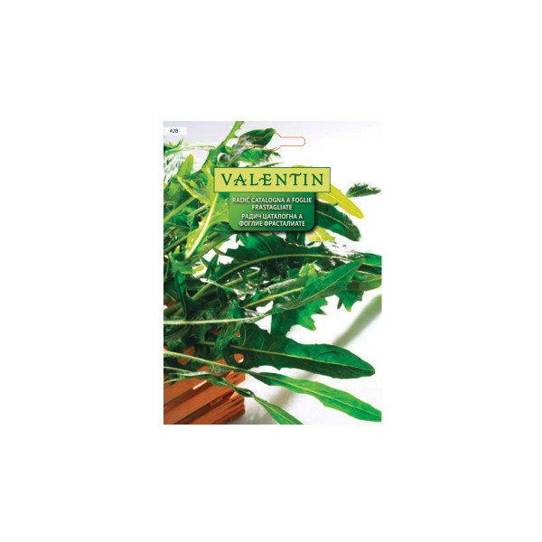 RADIČ CATALOGNA A FOGLIE FRASTAGLIATE 428 Valentin 