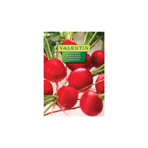 REDKVICA RODOS 281 Valentin 