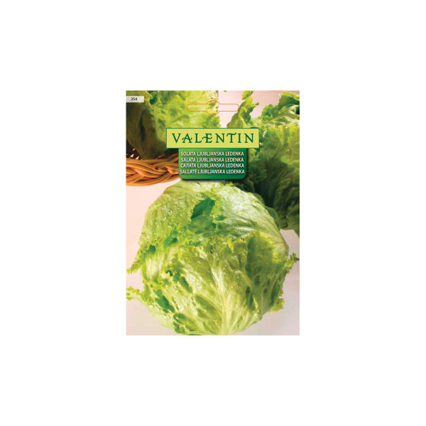 SOLATA LJUBLJANSKA LEDENKA 354 Valentin 
