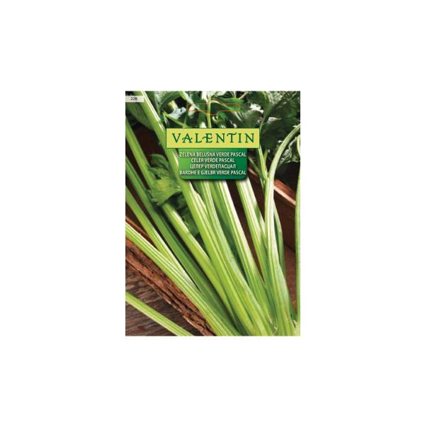ZELENA BELUŠNA VERDE PASCAL 228 Valentin 