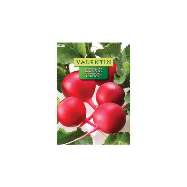 REDKVICA SAXA 3 297 Valentin 