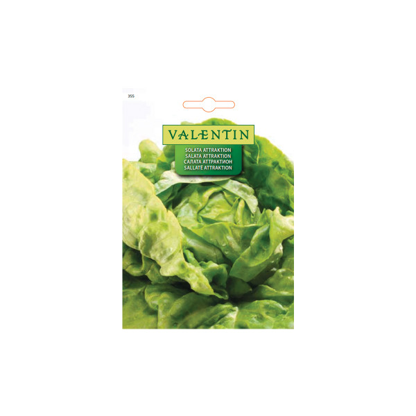 SOLATA ATTRAKTION 355 Valentin 