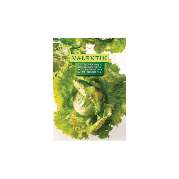 SOLATA LAIBACHER EIS 4 358 Valentin 