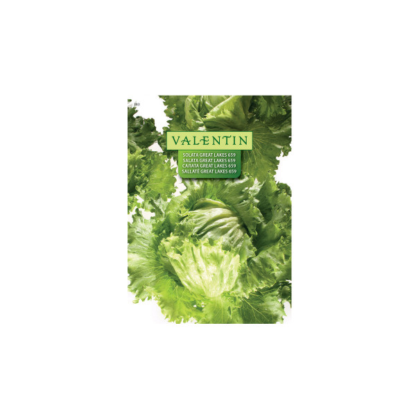 SOLATA GREAT LAKES 659 383 Valentin 