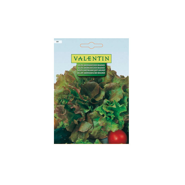 SOLATA AMERIKANISCHER BRAUNER 381 Valentin 