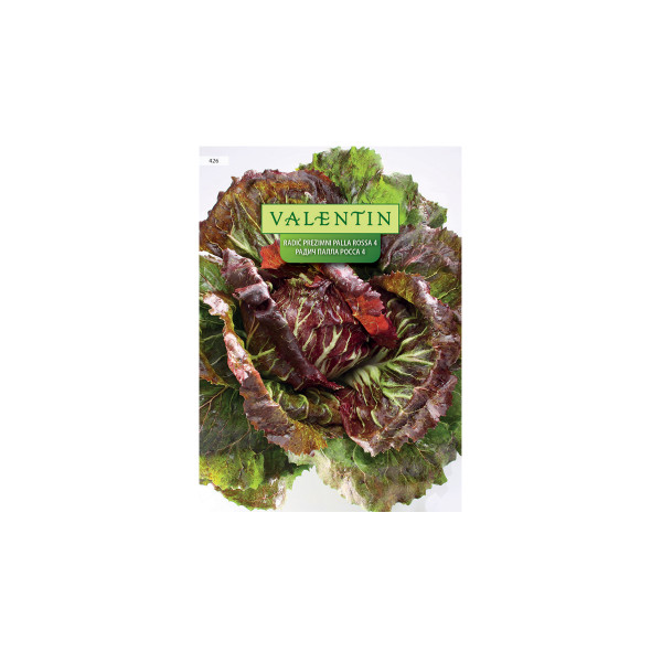 RADIČ PALLA ROSSA 4 426 Valentin 