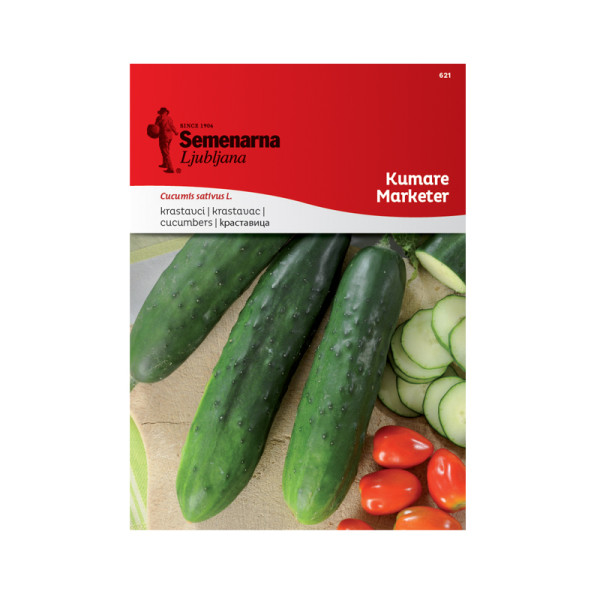 KUMARE MARKETER 621 Semenarna 