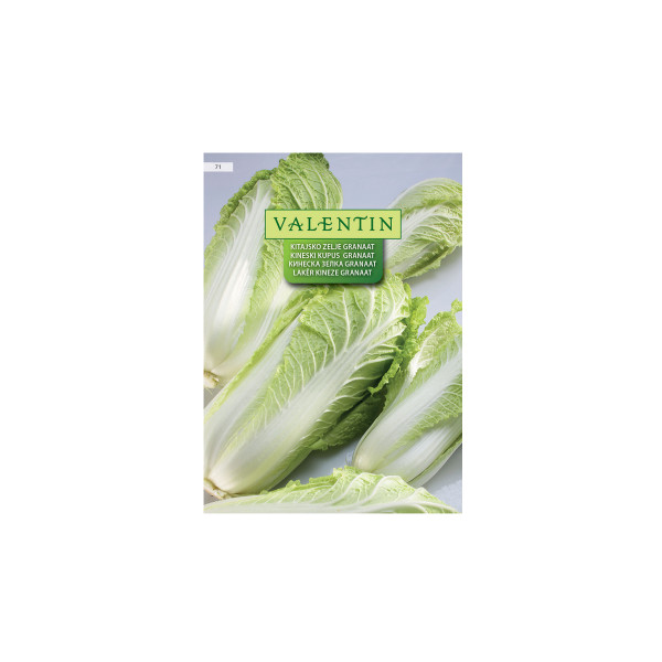 KITAJSKO ZELJE GRANAAT 71 Valentin