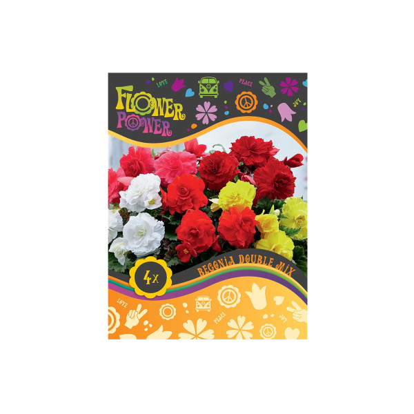 Flower power Begonia Double Mix 4/1 