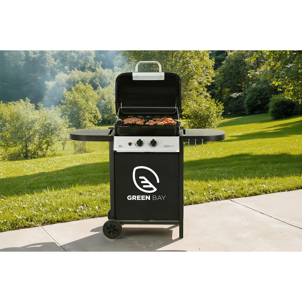 PLINSKI ŽAR Z DVEMA GORILNIKA 086467 