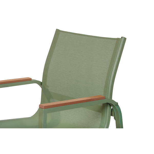 GARNITURA VRTNA OLIVE VISOKA 88823 