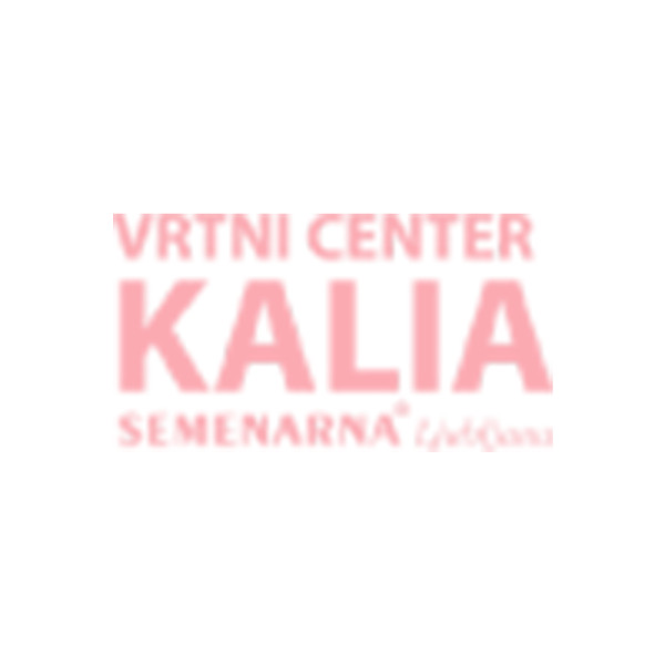 VAROVALO KORIT, NASTAVLJIVO, RJAVO 
