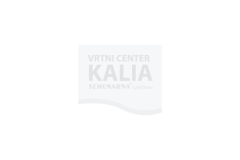 Vrtni center Kalia Lendava